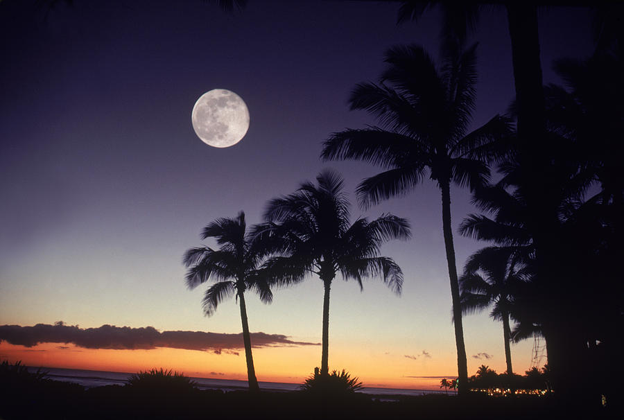 Hawaiian Dusk Photograph by Philip Boyer