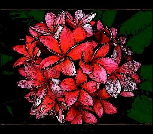 Backyard Painting - Hawaiian flowers by Amelia Rodriguez