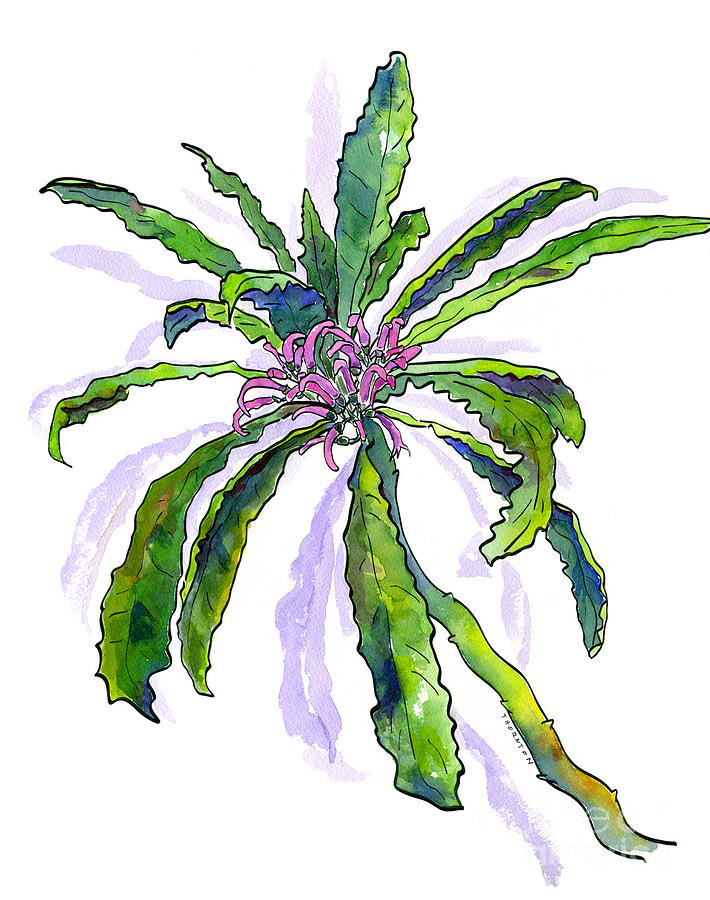 Hawaiian Haha Plant Cyanea Stictophylla Painting by Diane Thornton