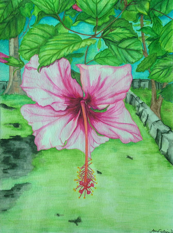 Nature Painting - Hawaiian Healing by Anna M Sullivan