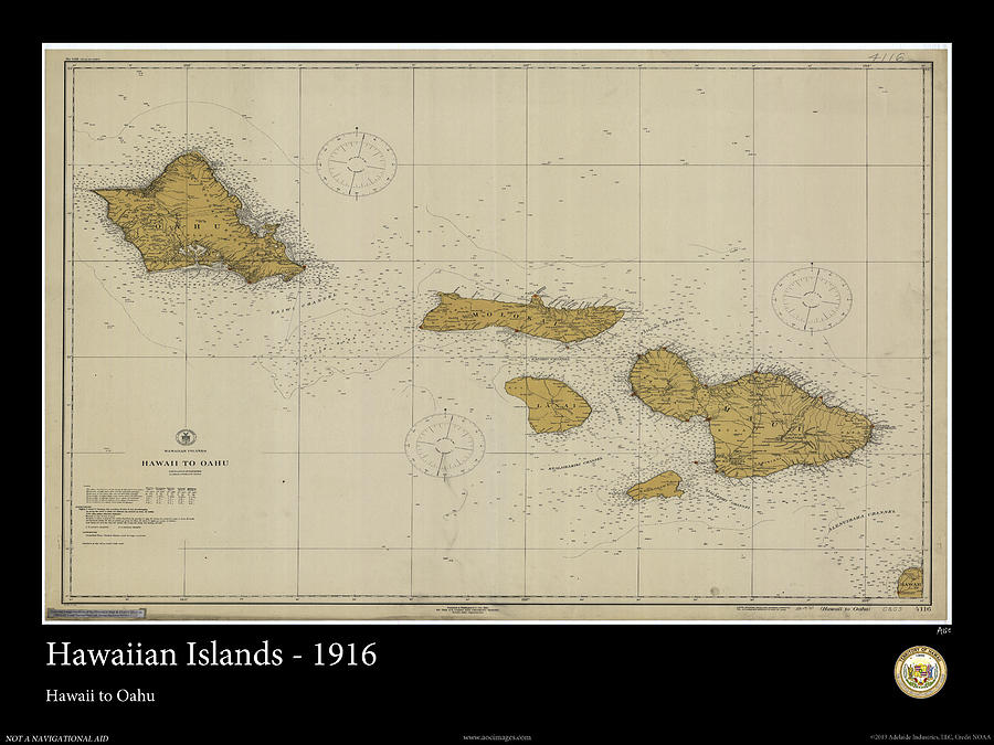 Hawaiian Islands Photograph - Hawaiian Islands - 1916 by Adelaide Images