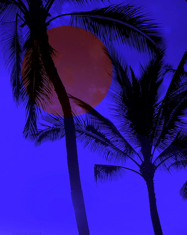 Hawaiian Moon Light Photograph by Athala Bruckner