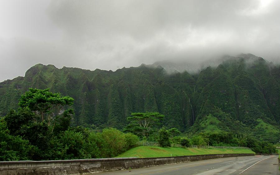 Hawaiian Rain Forest Photograph by William Kimble