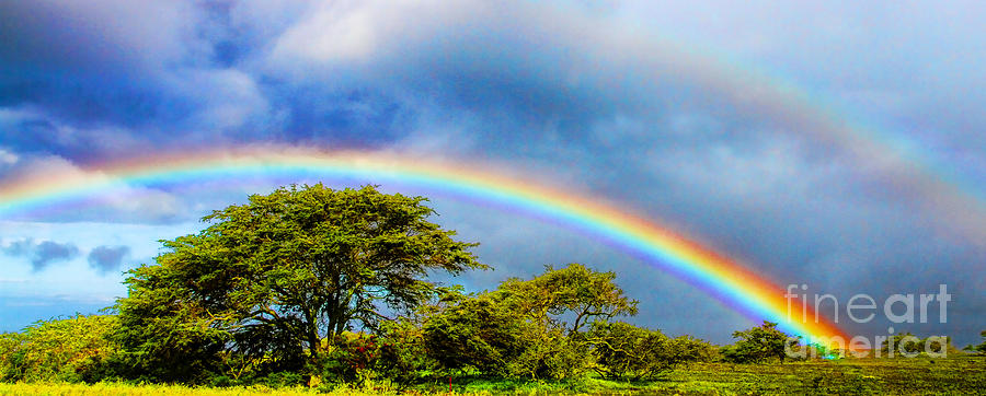 Hawaiian Double Rainbow by Diana Sainz Photograph by Diana Raquel Sainz