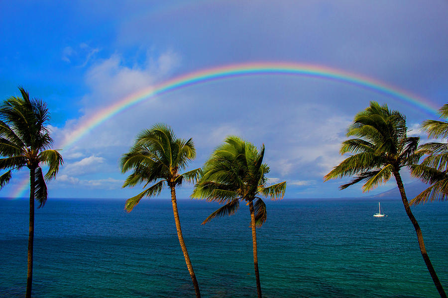 movimiento Antorchas ataque Hawaiian Rainbow Photograph by Frederick DeBram - Fine Art America
