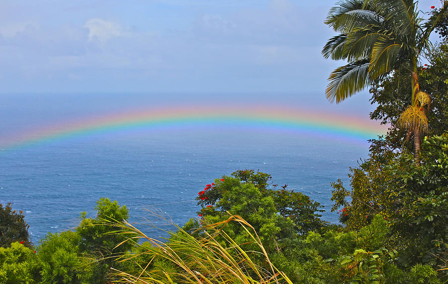 Hawaiian Rainbow Photograph by Venetia Featherstone-Witty