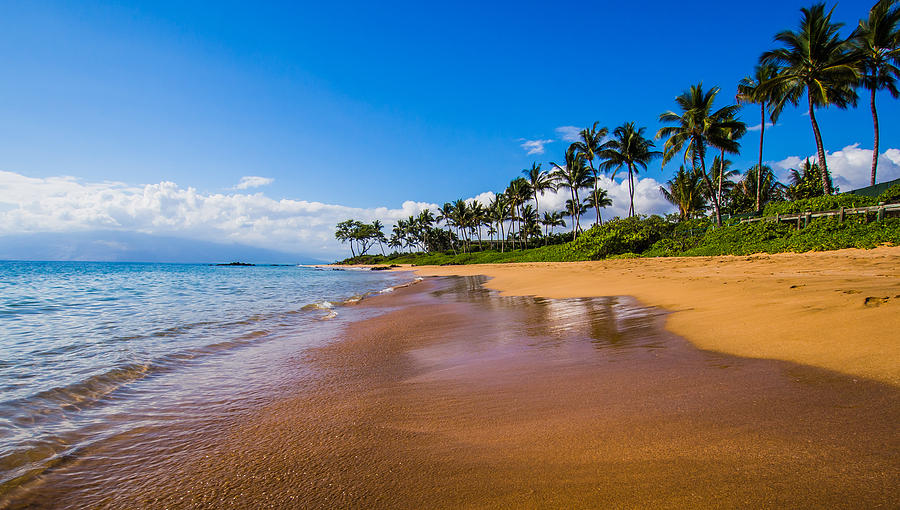 Image result for hawaiian shores