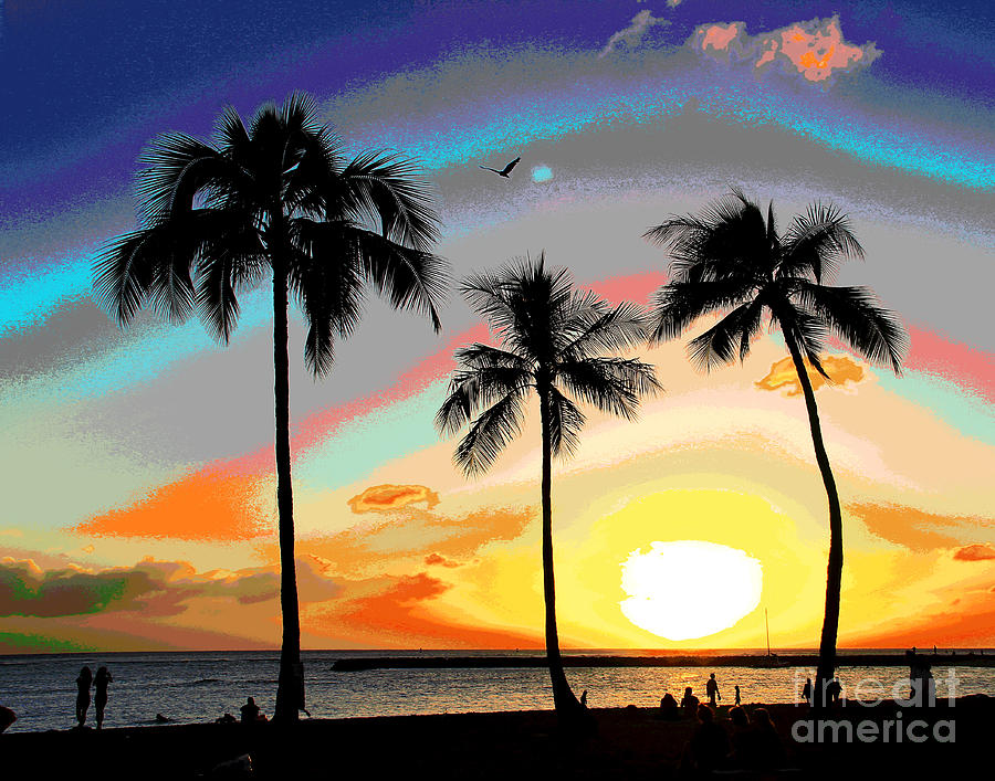 Hawaiian Sunset Bird Photograph by Larry Oskin