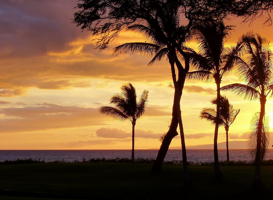 Hawaiian Sunset Photograph by Jenny Hudson