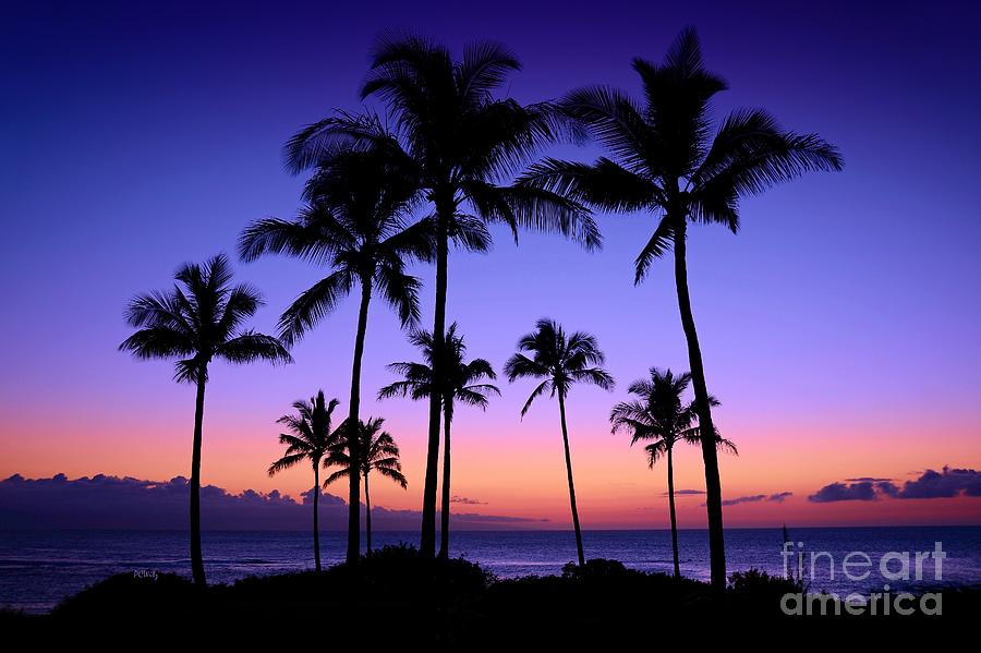 Hawaiian Sunset Photograph by Patrick Witz