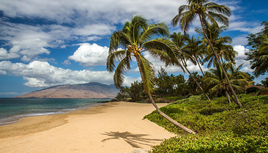 Paradise Photograph - Hawaiian Tropical Paradise by Pierre Leclerc Photography