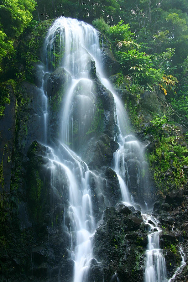 Hawaiian Waterfall Photograph by James Roemmling