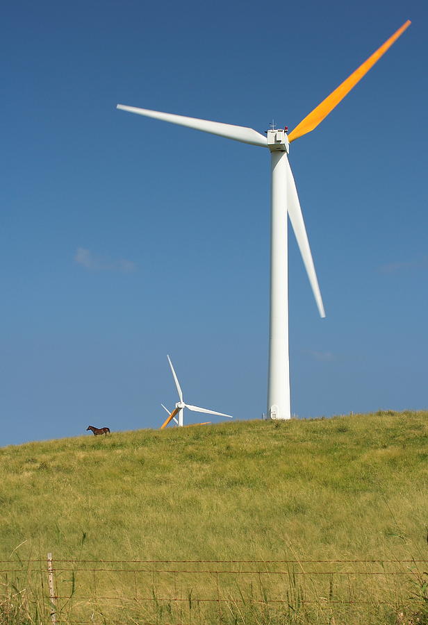 Hawi Wind Farm  Photograph by Scott Rackers