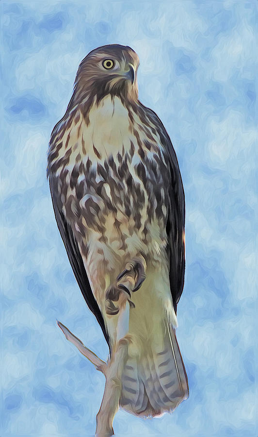 Hawk by Frank Lee Hawkins by Eastern Sierra Gallery Hawk by Frank Lee Hawkins by Eastern Sierra Gallery