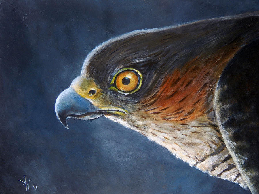 Hawk-Eye Painting by Arie Van der Wijst