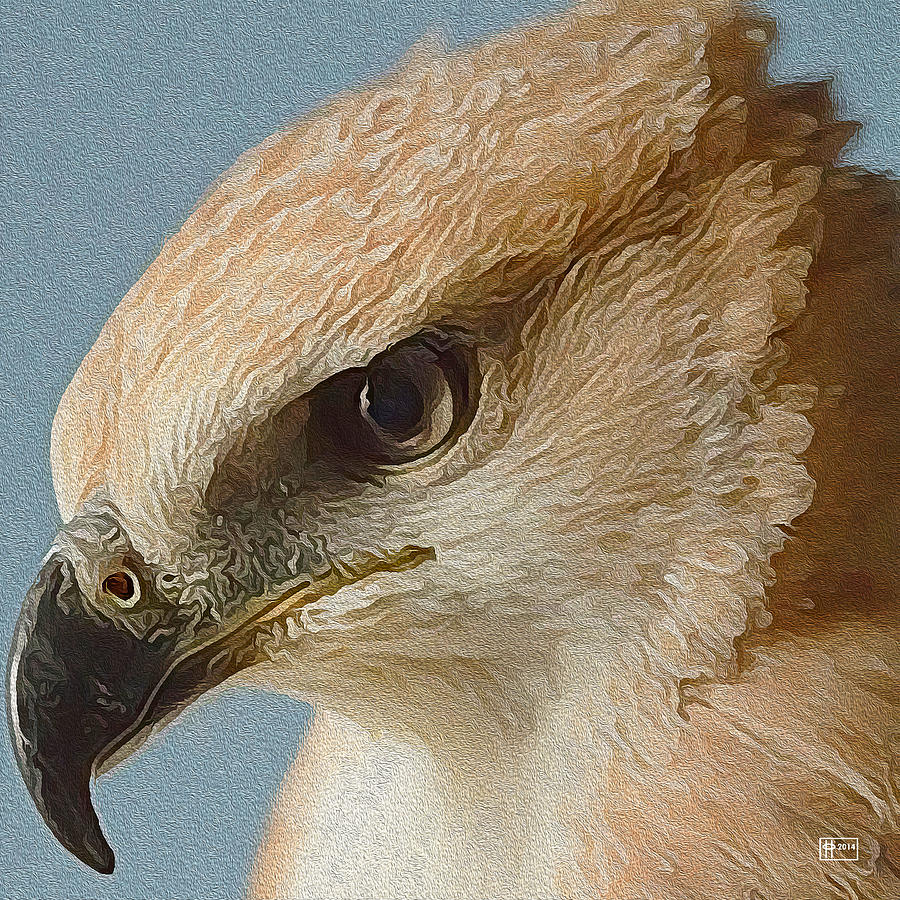 Hawk-eyed Digital Art by Jim Pavelle