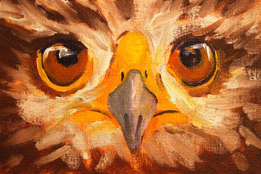 Hawk Eyes Painting by Nancy Merkle
