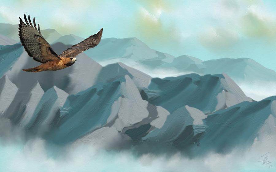 Hawk in Flight Digital Art by Tony Rodriguez