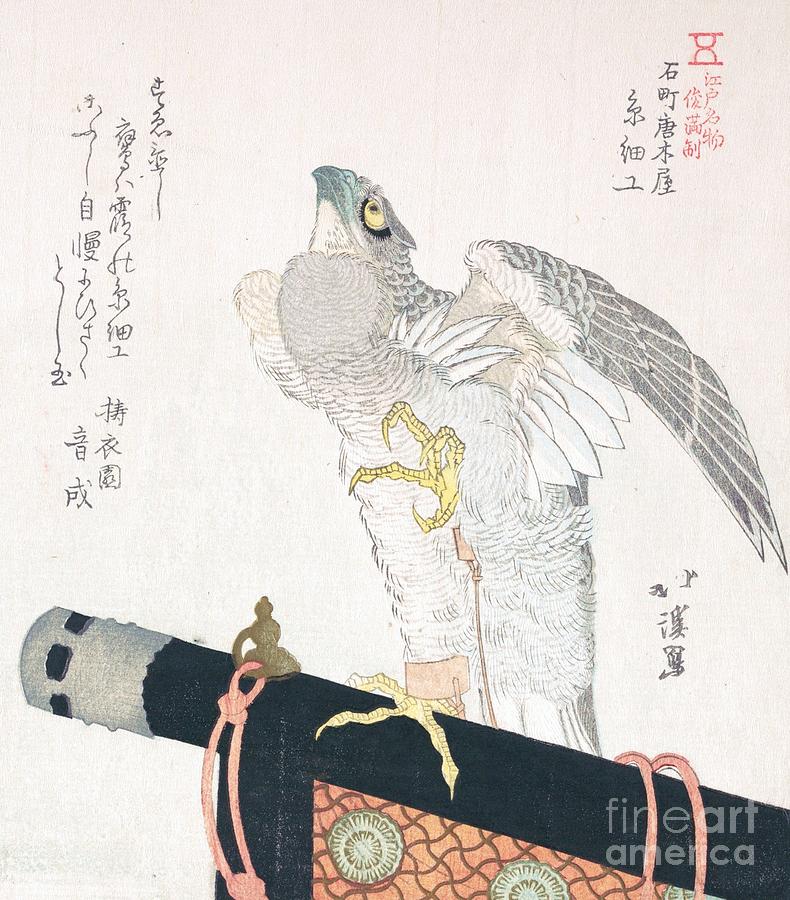 Hawk Painting - Hawk made of Silk by Thea Recuerdo