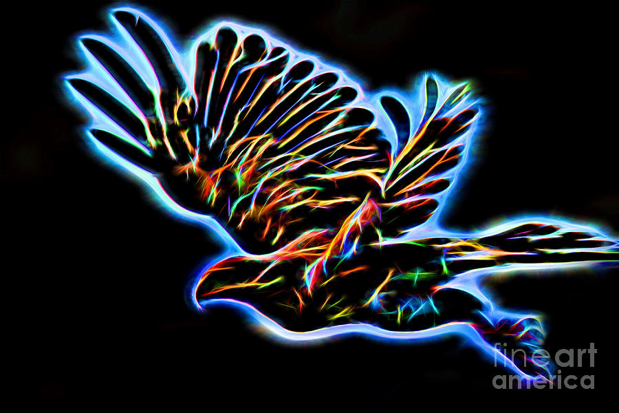 Eagle Digital Art - Hawk by Shaun Wilkinson
