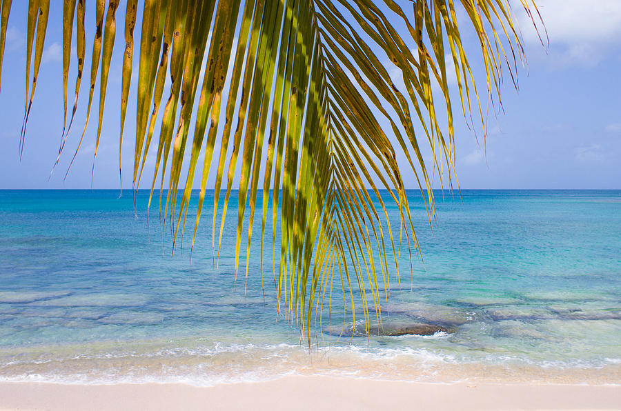 Hawksbill Beach Photograph by Ferry Zievinger - Fine Art America