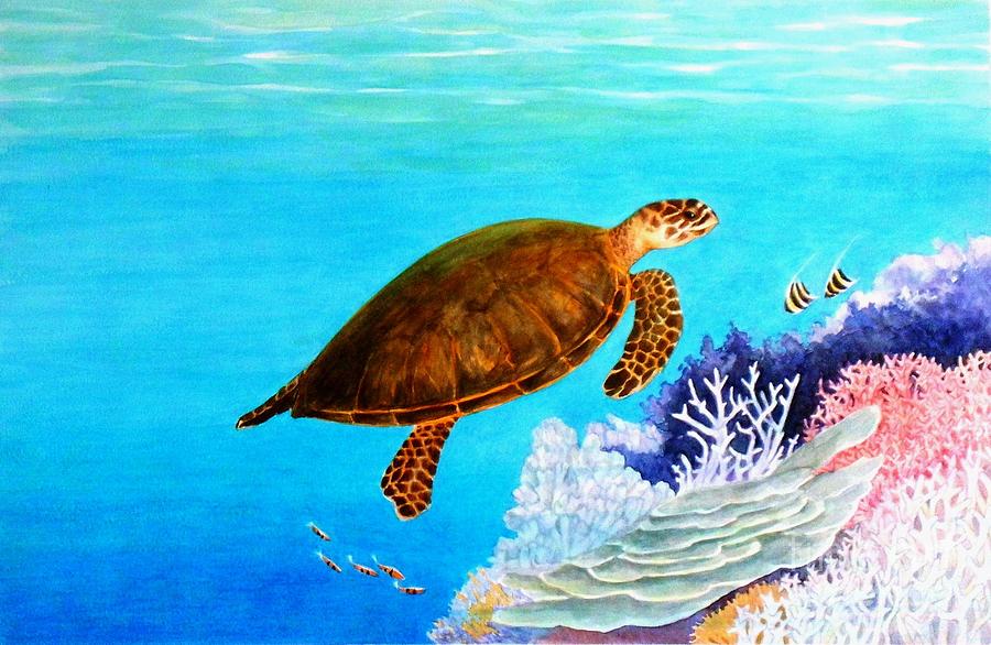 Nature Painting - Hawksbill Sea Turle by Janet Summers-Tembeli