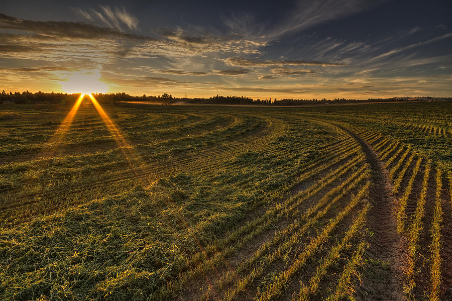 Hay and Sun Rays Photograph by Mark Kiver