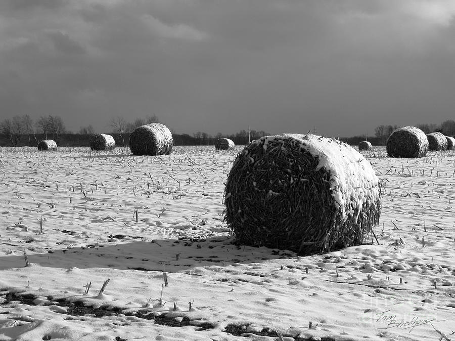 Hay Bails in the Snow Photograph by Tom Brickhouse