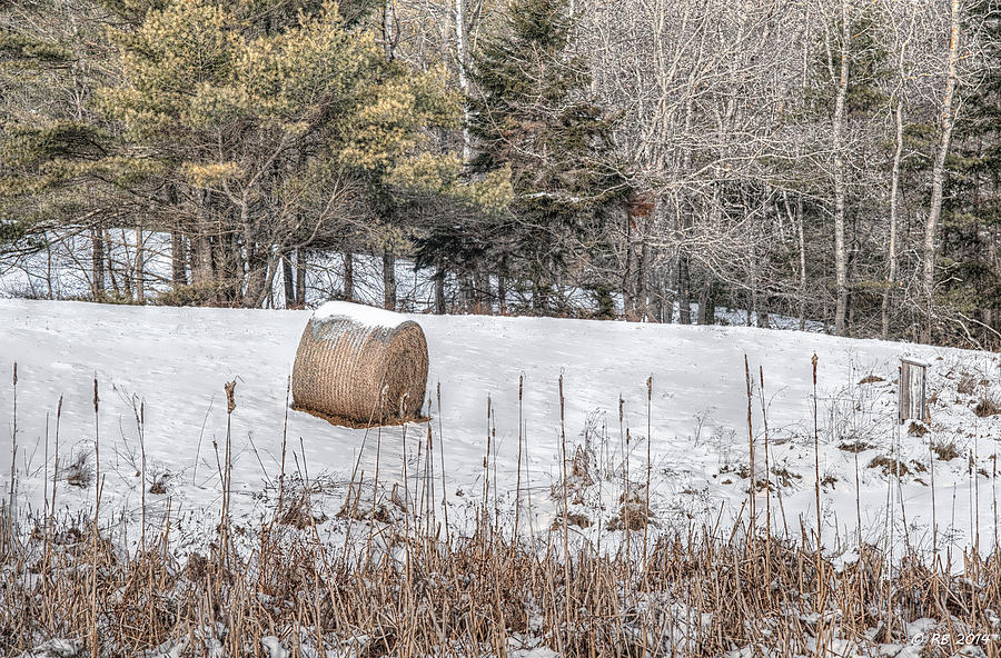Hay Bale Cant Be Lonely Photograph by Richard Bean