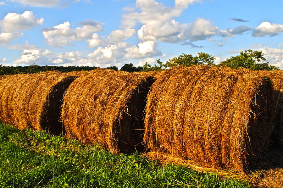 Hay Bale Close Up Photograph by Frozen in Time Fine Art Photography