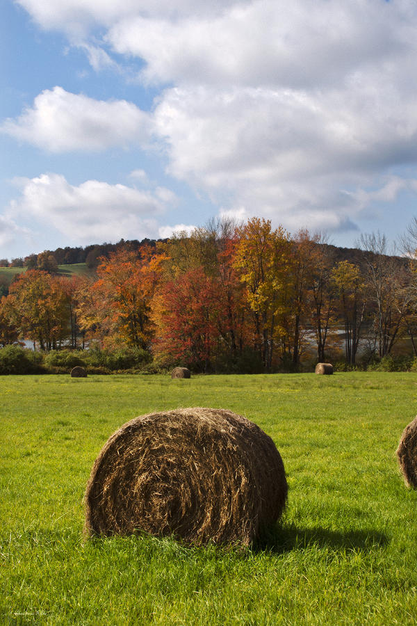 Hay Bale In Country Field Photograph by Christina Rollo