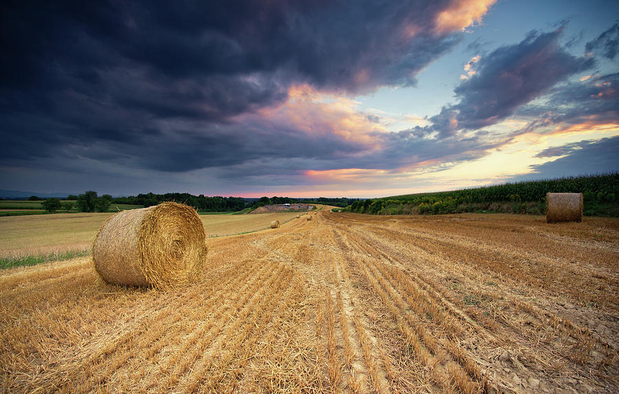 Hay Bale In Summer Photograph by Dennis Fischer Photography