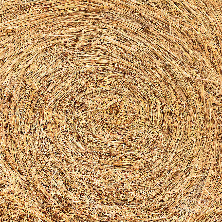 Hay Bale Photograph by Shazam Images - Fine Art America