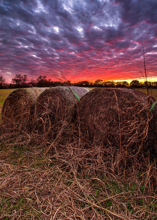 Hay Bale Sunset Photograph by Micah Goff