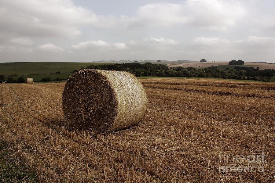 Hay Bale Photograph by Vicki Spindler