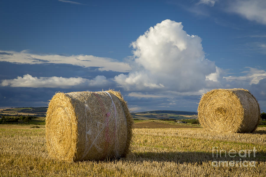 Hay Bales - Scotland Photograph by Brian Jannsen