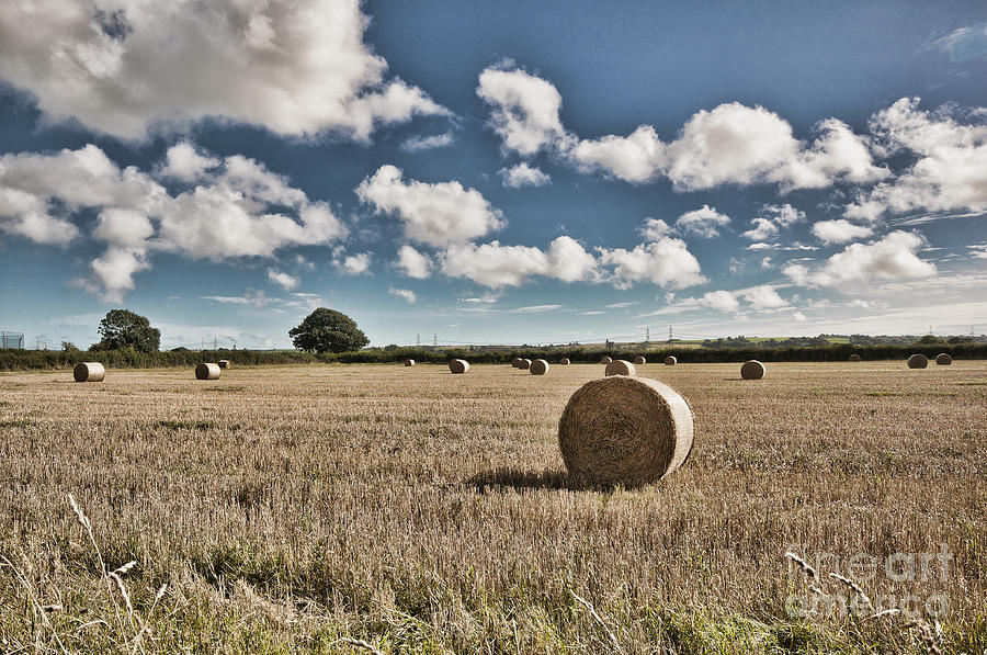 Hay Bales 1 Photograph by Steve Purnell