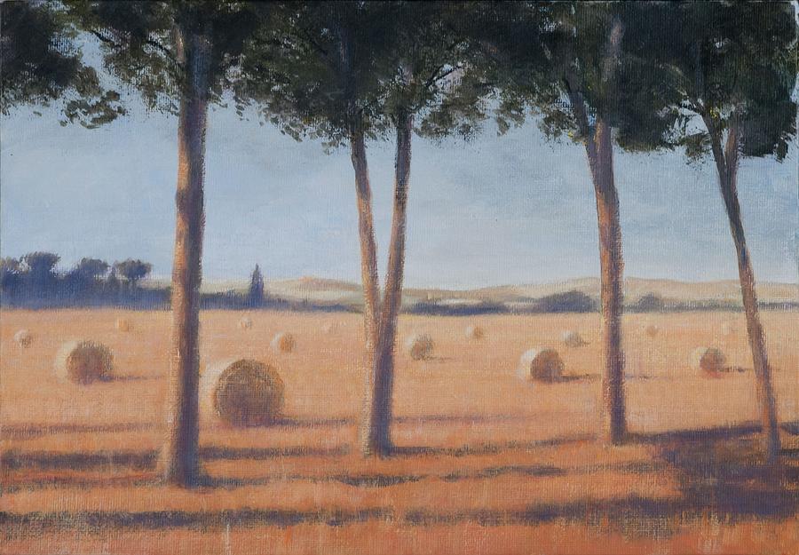 Tree Photograph - Hay Bales And Pines, Pienza, 2012 Acrylic On Canvas by Lincoln Seligman