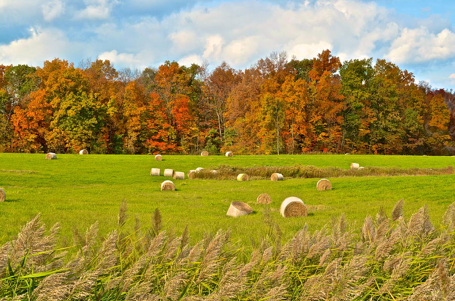 Hay Bales at Autumn Photograph by Frozen in Time Fine Art Photography