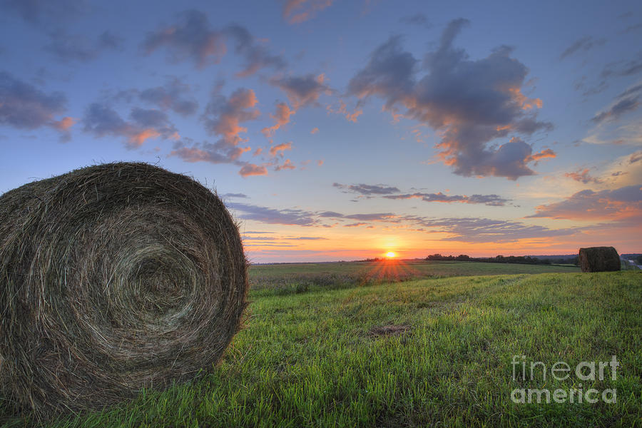 Hay Bales at Sunrise Photograph by Dan Jurak