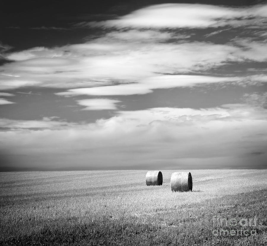 Nature Photograph - Hay Bales Black and White by THP Creative