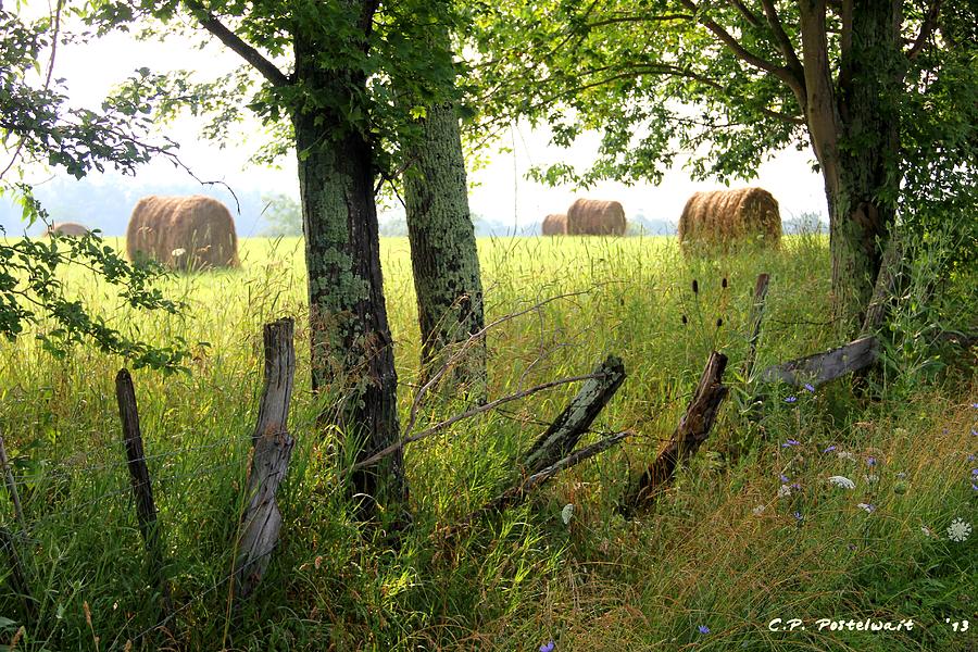 Hay Bales Photograph by Carolyn Postelwait - Fine Art America