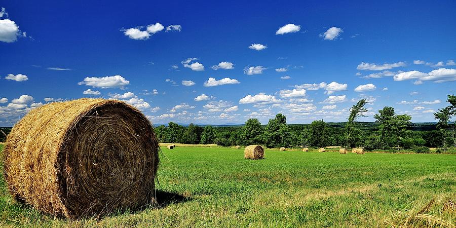 Hay Bales Photograph by Frameworthyfotography By Thadd