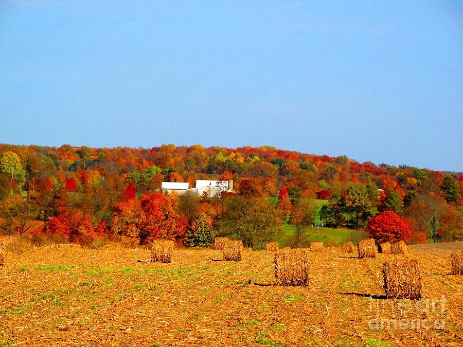Fall Photograph - Hay Bales in a Quaker Fall by Matthew Peek