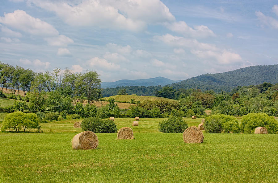 Hay Bales in Farm Field Photograph by Kim Hojnacki