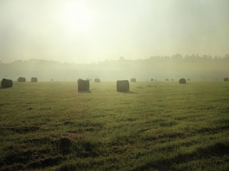 Hay Bales In Fog Photograph by Francois Dion