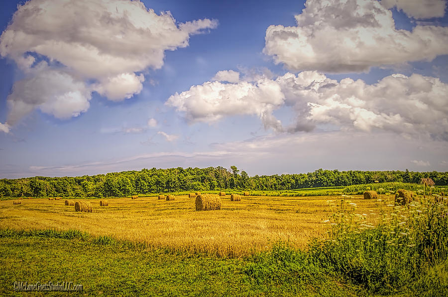 Landscape Photograph - Bale of Hay by LeeAnn McLaneGoetz McLaneGoetzStudioLLCcom