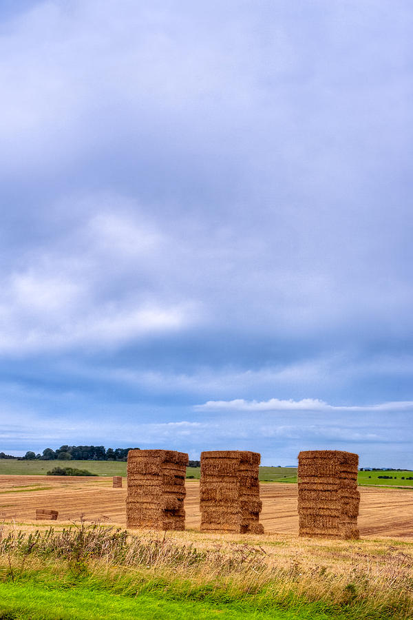 Hay Bales In The Fields Of Wiltshire Photograph by Mark Tisdale