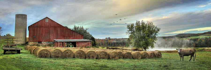Farm Photograph - Hay Bales by Lori Deiter