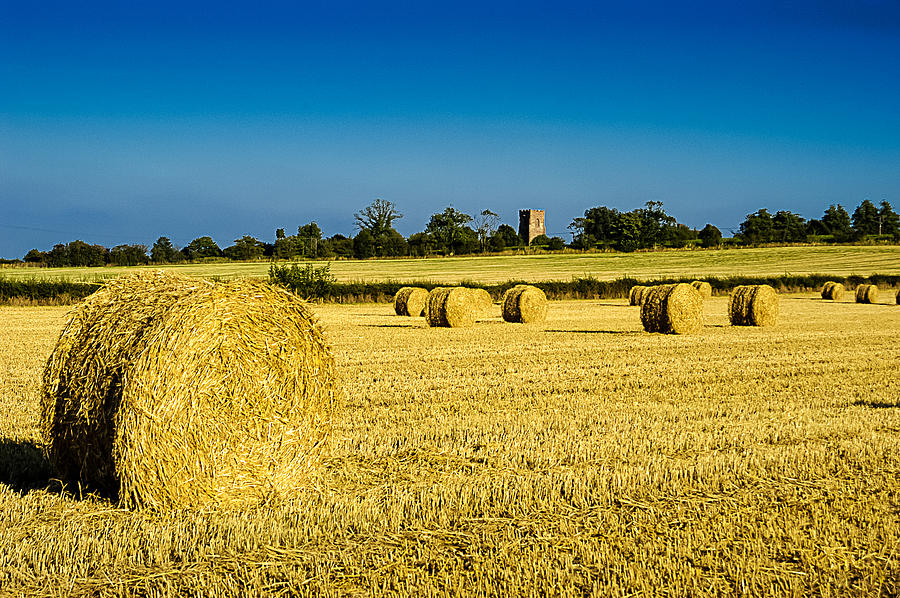 Hay Bales Photograph by Mark Llewellyn